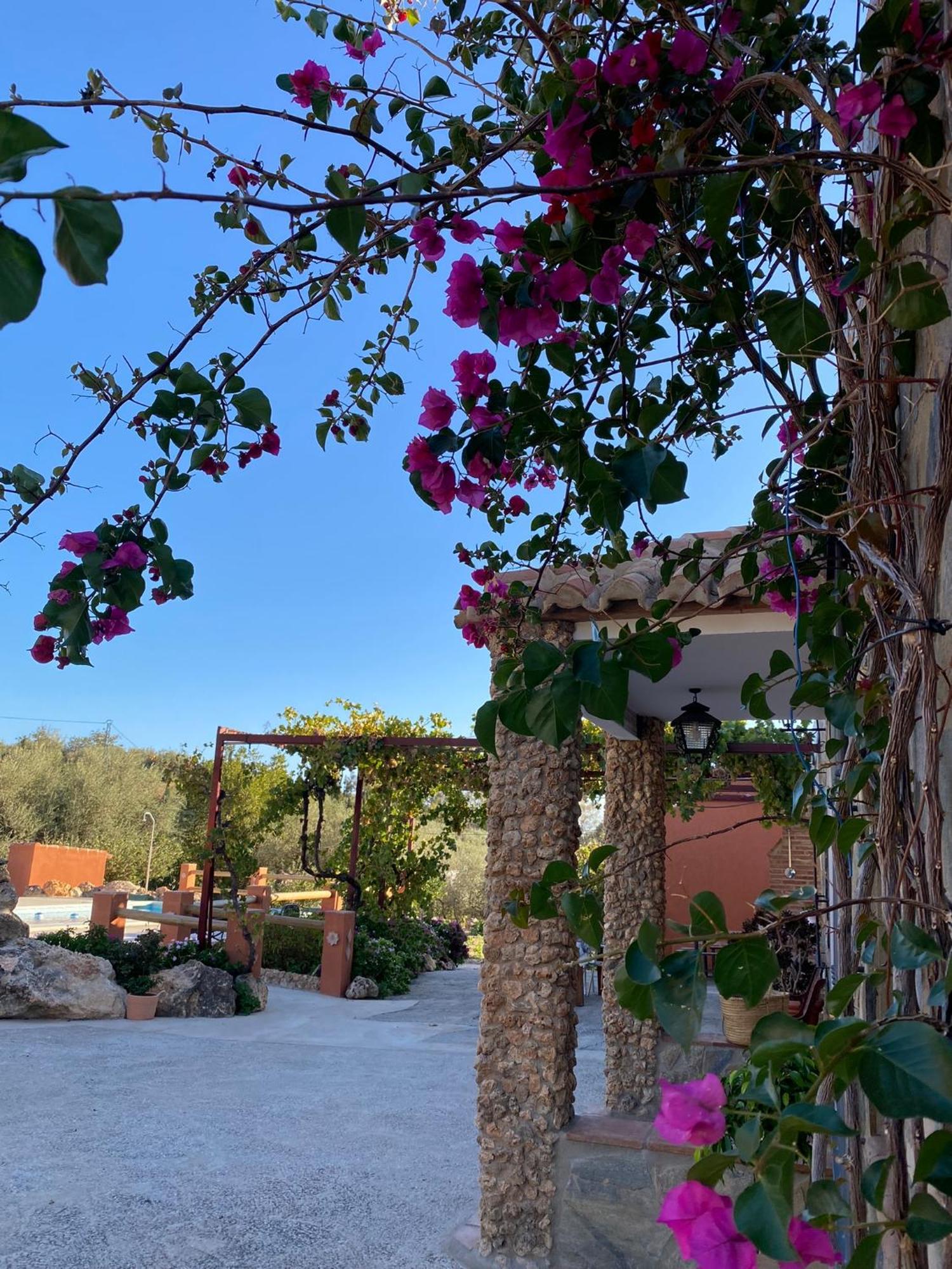 Casa Rural Antonio Y Esperanza 페리아나 외부 사진