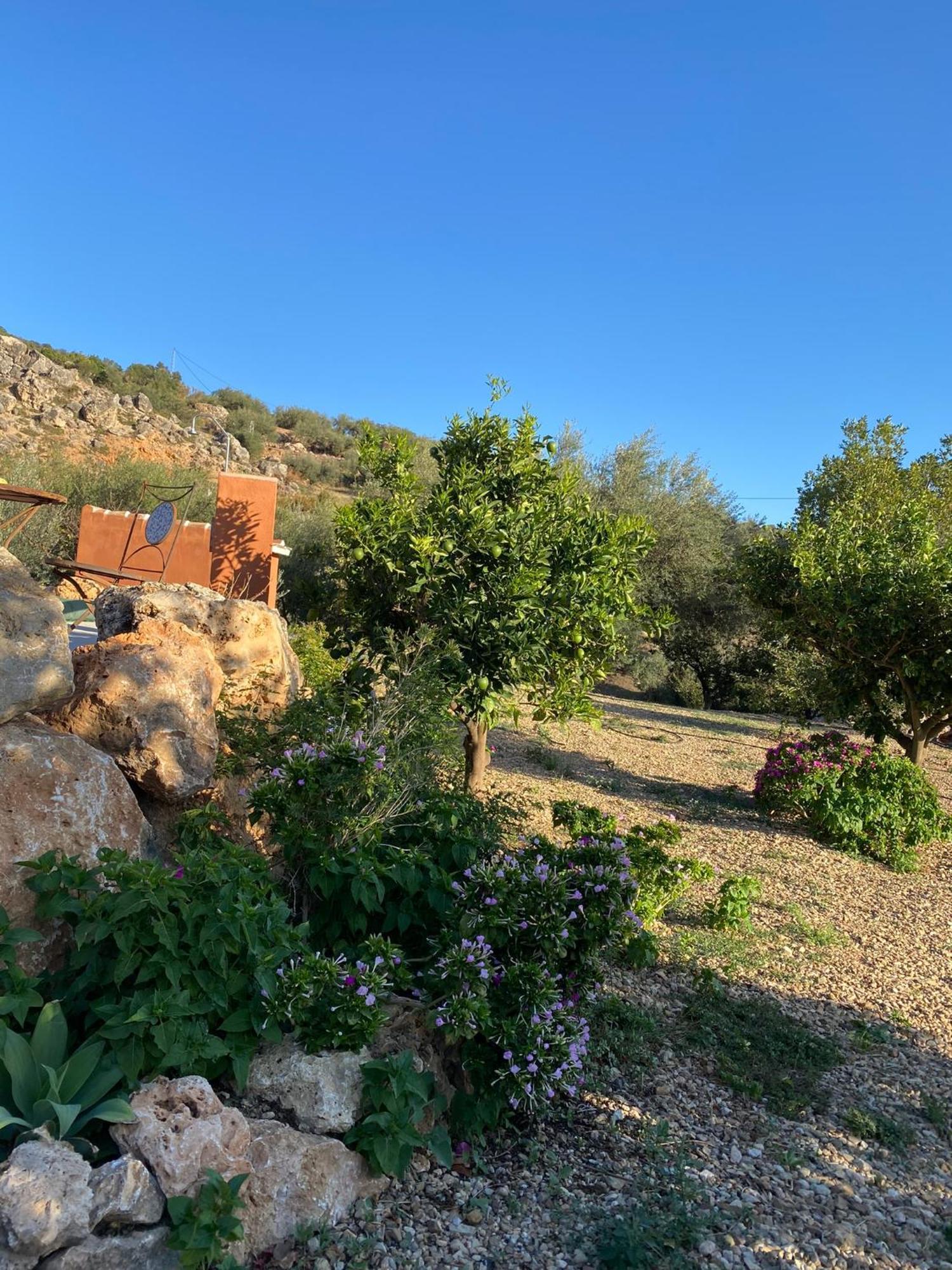 Casa Rural Antonio Y Esperanza 페리아나 외부 사진